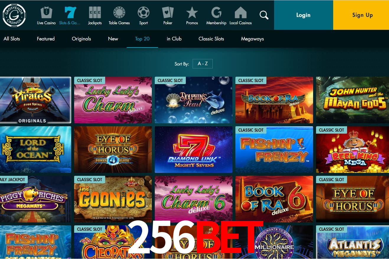 256Bet Login